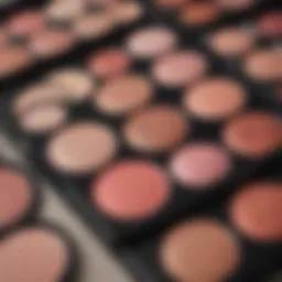 A close-up of a makeup palette showcasing various blush shades suitable for different skin tones