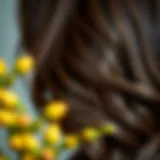 Nourished hair showcasing the benefits of Amla oil