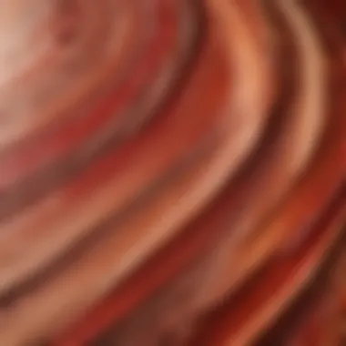 Close-Up of Brush Strokes in Copper and Red Close-up of brush strokes blending copper and red hues