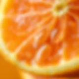 A vibrant orange slice with droplets of vitamin C essence
