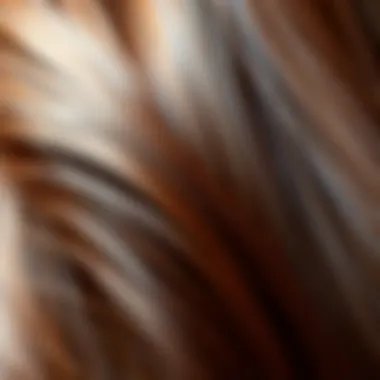 A close-up of hair strands illustrating the rich tones in caramel hair dye.