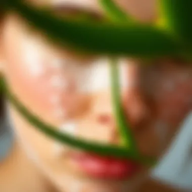 Different Skin Types with Aloe Vera Benefits Different skin types with aloe vera benefits