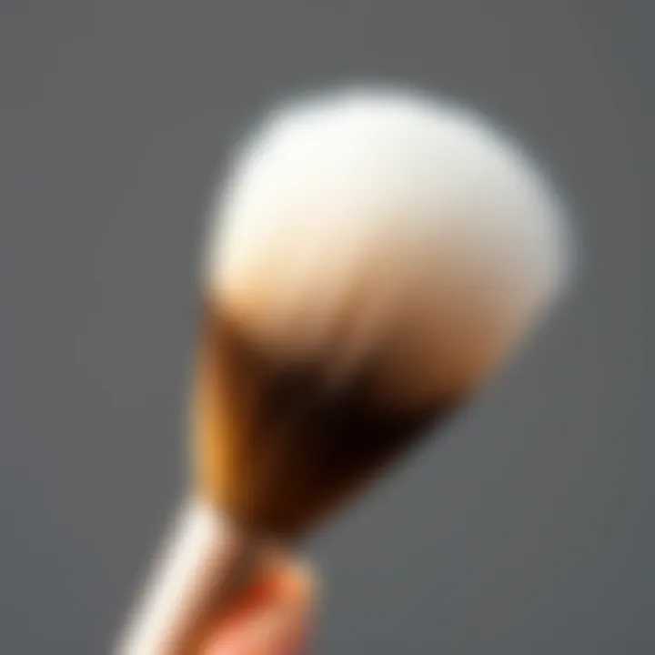 Close-up of a soft bristle fan brush designed for blending