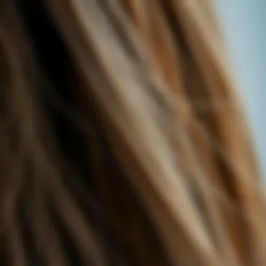 The Impact of Dry Hair Ends Close-up of dry hair ends with visible split ends