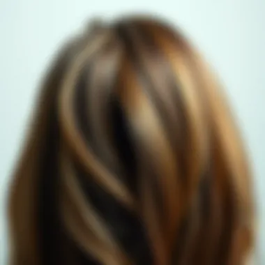 Healthy vs. Dry Hair Ends Comparison of healthy vs. dry hair ends