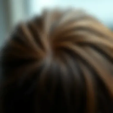 A close-up view of a healthy scalp