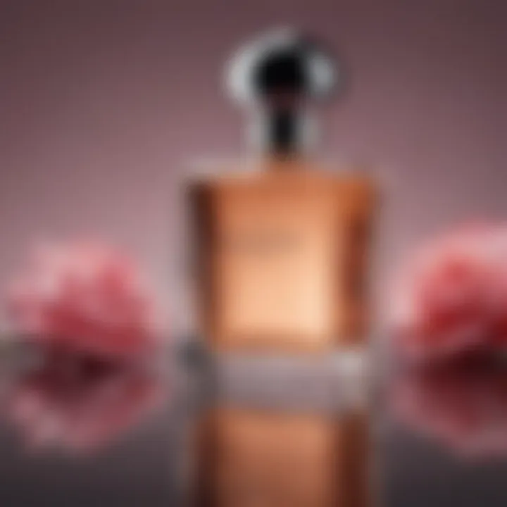 Popular perfume brands arranged aesthetically