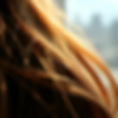 A close-up of healthy hair strands shining under natural light.