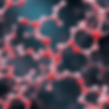 Illustration of various peptide structures
