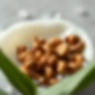 Close-up of shampoo ingredients highlighting natural components