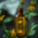 Natural healing properties of St. John's Wort oil